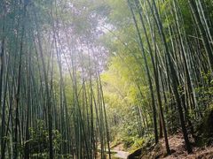 -黄山翡翠谷景区