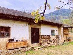 -朱雀国家森林公园