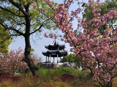 -贡湖湾湿地公园