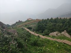 -白草畔自然风景区