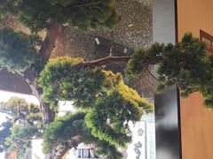 -杏花堂晋商私房菜(华熙五棵松店)