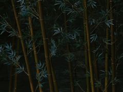 -天津海河悦榕庄·Lobby Lounge大堂吧