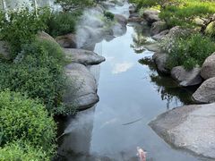 -罗红摄影艺术馆