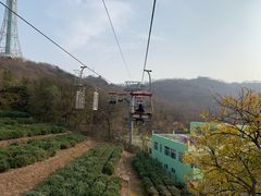 -青岛中山公园-索道售票处