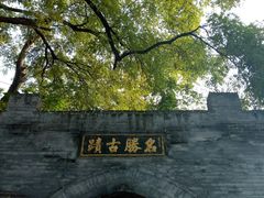 -大槐树寻根祭祖园