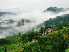 -紫鹊界梯田景区