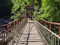 -黄山翡翠谷景区