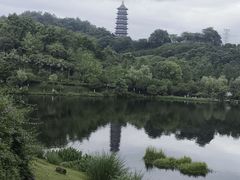 -重庆园博园