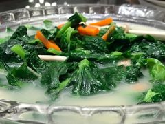 -北海渔村酒楼·粤菜海鲜点心(新华店)