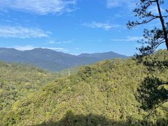 -九龙江国家森林公园