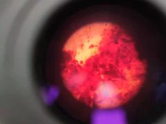 -瑞派雷欧宠物医院·24h夜诊·心脏骨科牙科·全科重症转诊中心(无影山店)