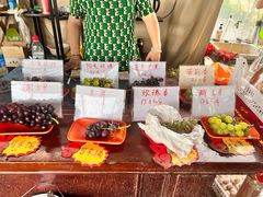 -马陆小张葡萄园农家乐