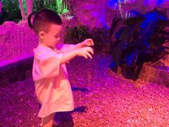 -水晶之星洗浴温泉汗蒸