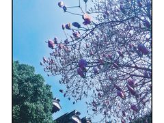 -同里景区古镇游客中心