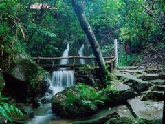 -南丹山森林王国