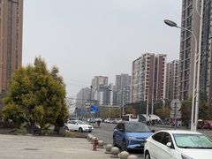 -杨柳河(地铁站)