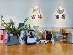 -古耳咖啡(北锣店)