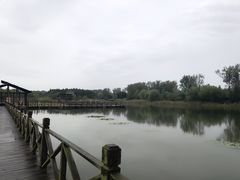 -溱湖国家湿地公园