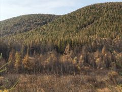 -塞罕坝国家级自然保护区