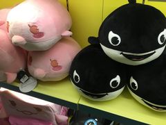 -烟台海昌鲸鲨海洋公园