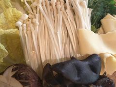 -手选潮汕鲜活牛肉火锅(二七广场店)