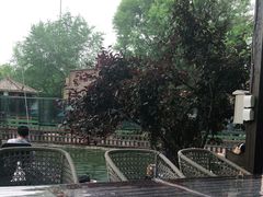 -酷鱼垂钓CLUB(朝阳区博大路店 )