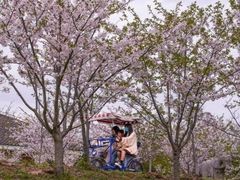 -上海海湾国家森林公园