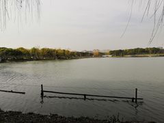 -昆山城市生态森林公园