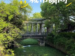 -蠡湖中央公园