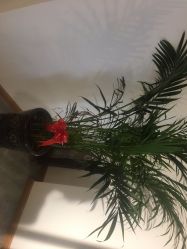 -康慧轩新中式养生·头疗SPA美容