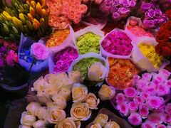 -花鸟鱼虫鲜花绿植市场(玉泉路店)