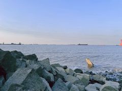 -上海滨江森林公园