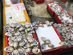 -渔人码头(洛溪店)