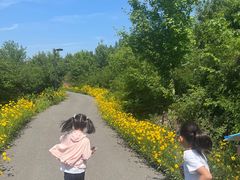 -西部长青自然儿童乐园