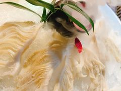 绿色草原千层肚-大隐·成都火锅Bistro(合生麒麟新天地店)