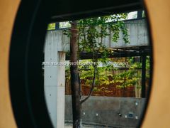 -苏州本色美术馆