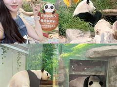 -灵玲国际马戏城