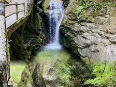 -牛背梁国家森林公园