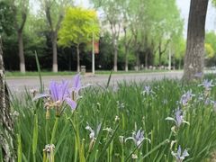 -东北农业大学