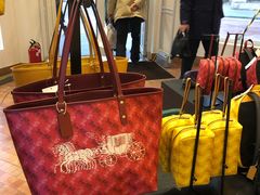 -COACH蔻驰(赛特奥特莱斯店)