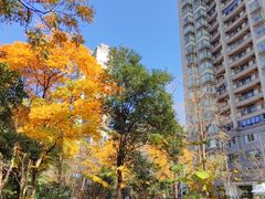 -新虹桥中心花园