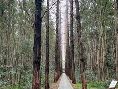 -同里国家湿地公园