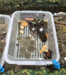 -钓虾工场·钓虾·赶海(回龙观店)