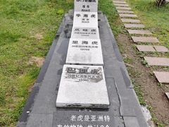 -横道河子东北虎林园