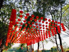 -广州市流溪河国家森林公园