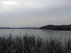-东湖落雁景区