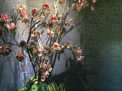 -瑶池足道养生SPA