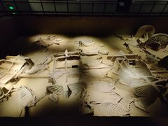 -洛阳周王城天子驾六博物馆