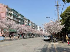 -永乐路-路侧停车场