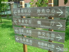 -金孔雀温泉旅游度假村